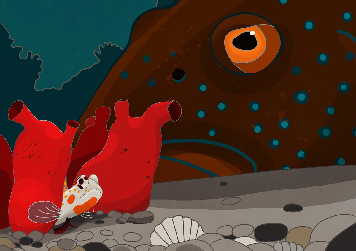 Рисунок автора