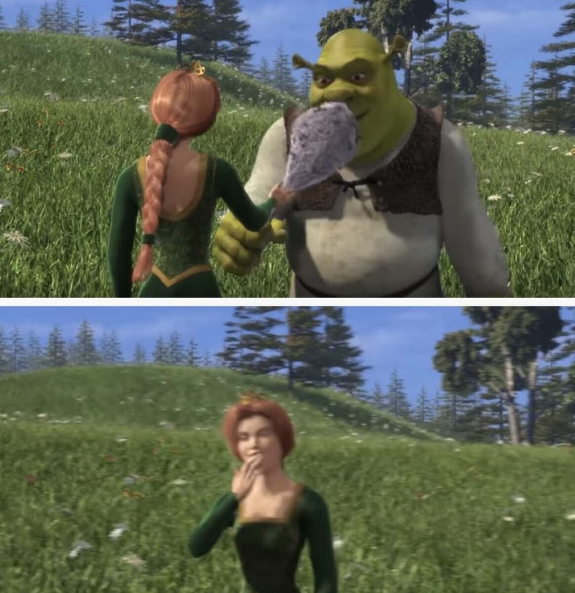 Shrek' Weddings Shrek wedding, Crazy wedding, Geeky wedding