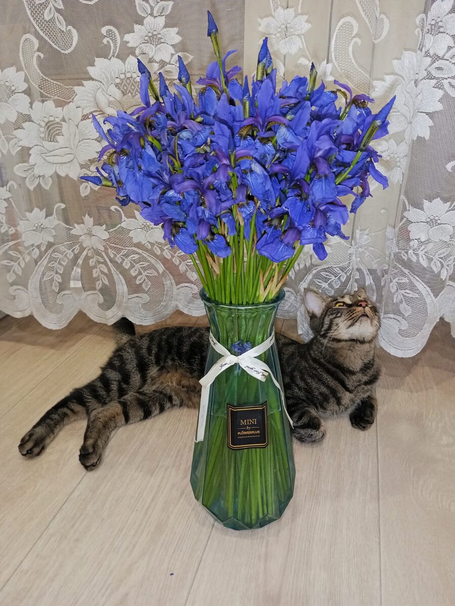 Из личного архива