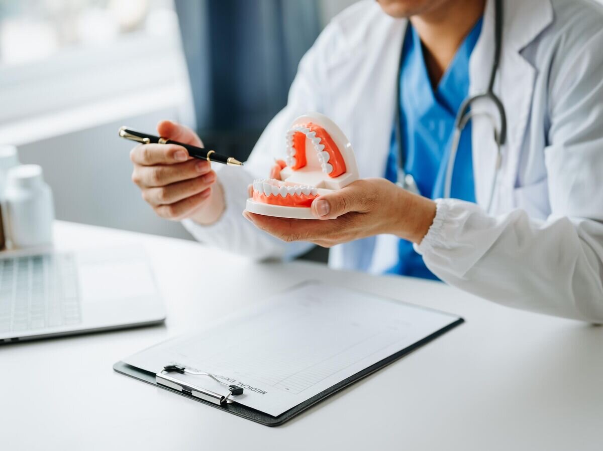    Стоматолог с моделью зубов© iStock.com / nuttapong punna