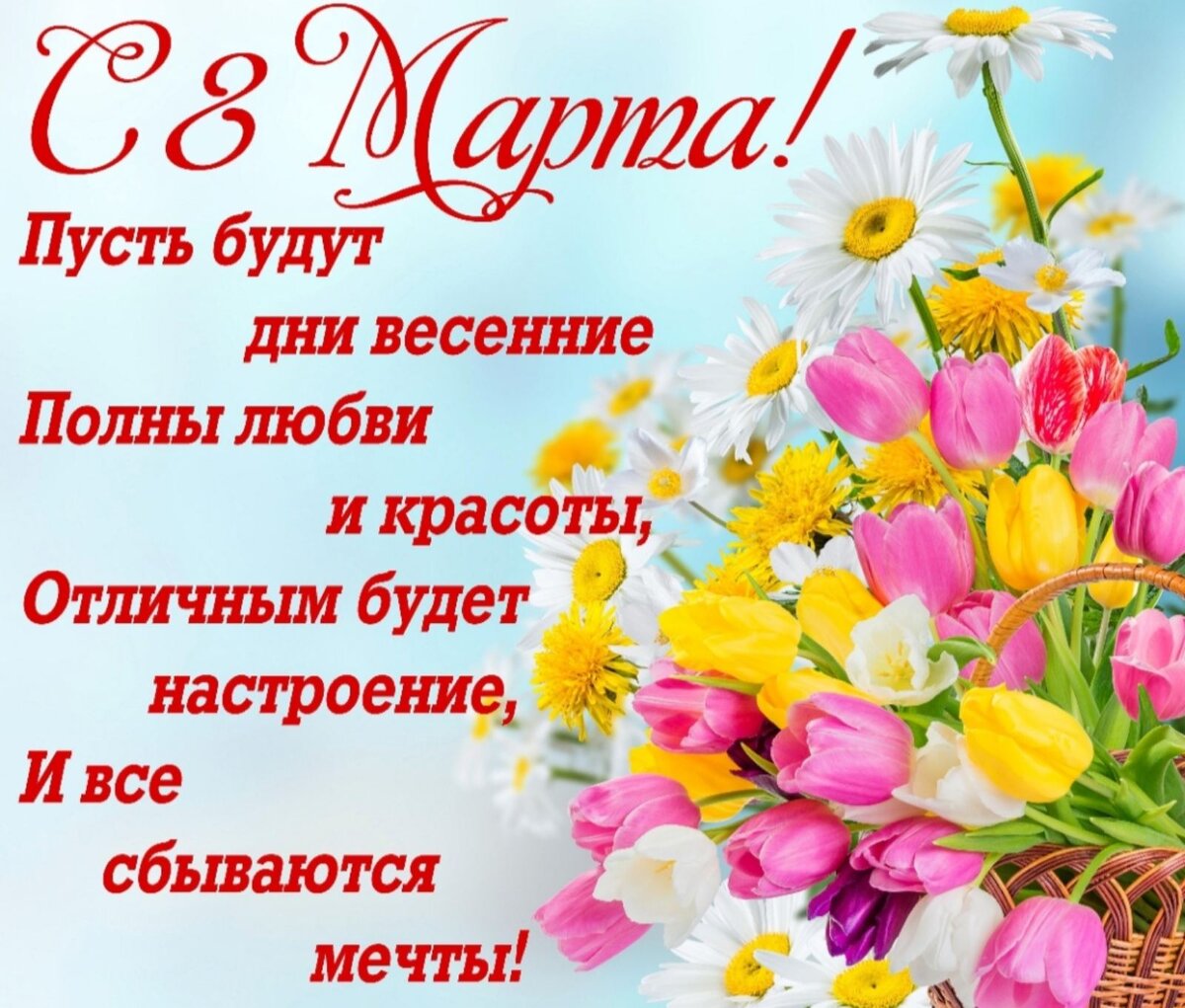 Дорогие наши женщины- с праздником- Днем 8 Марта!!!🍾🎂🌹А в приюте сегодня  День стольника!!! | Приют 