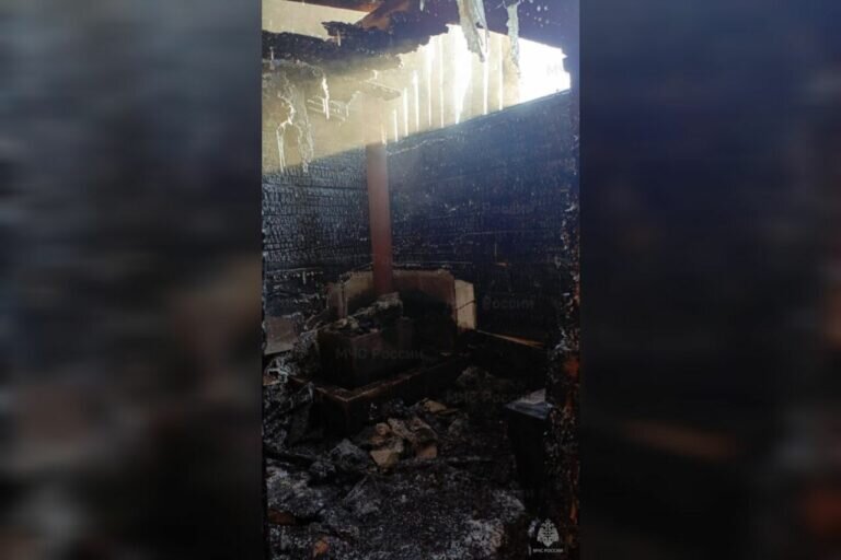    В Оренбуржье с начала 2024 года на пожарах погибли 24 человека Кристина Просвиркина