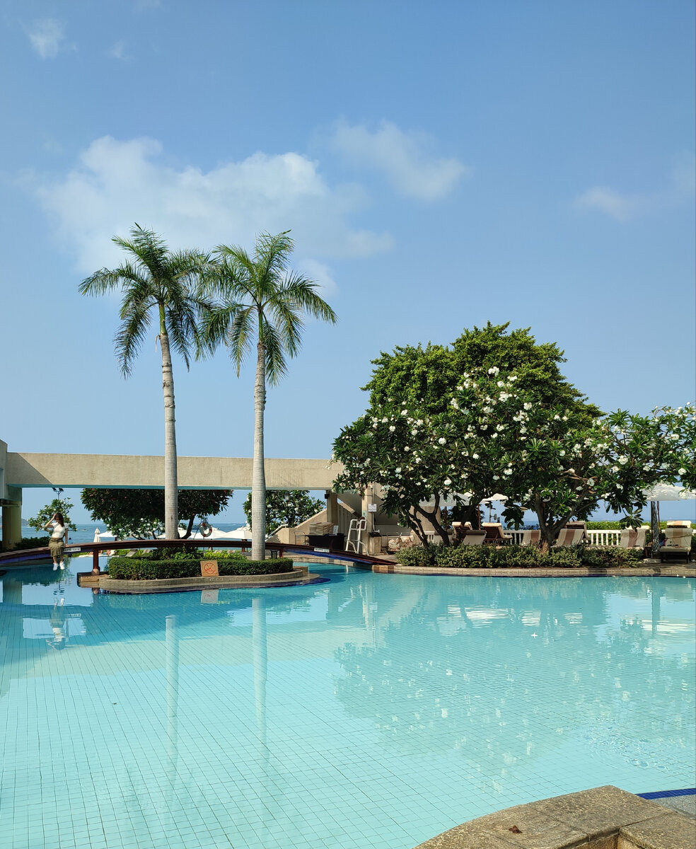 Вид из нашего теневого угла на окружающую красоту ☺️