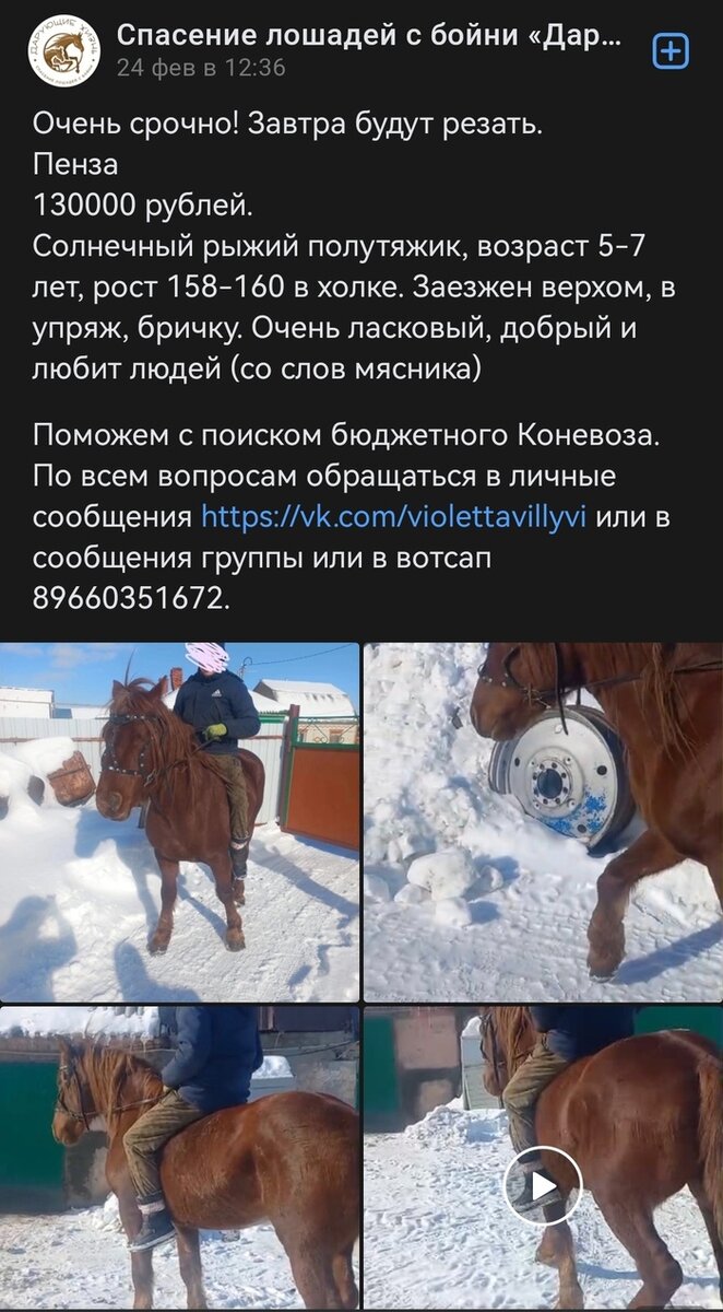 Листайте вправо, чтобы увидеть больше изображений