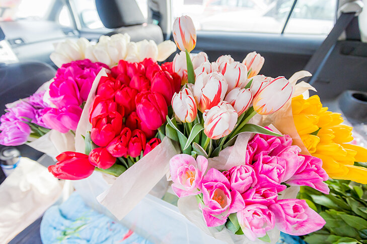 © Фото VN.ru.
📷
