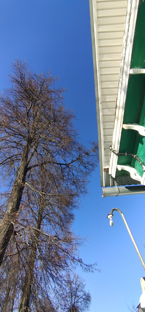 Личное фото