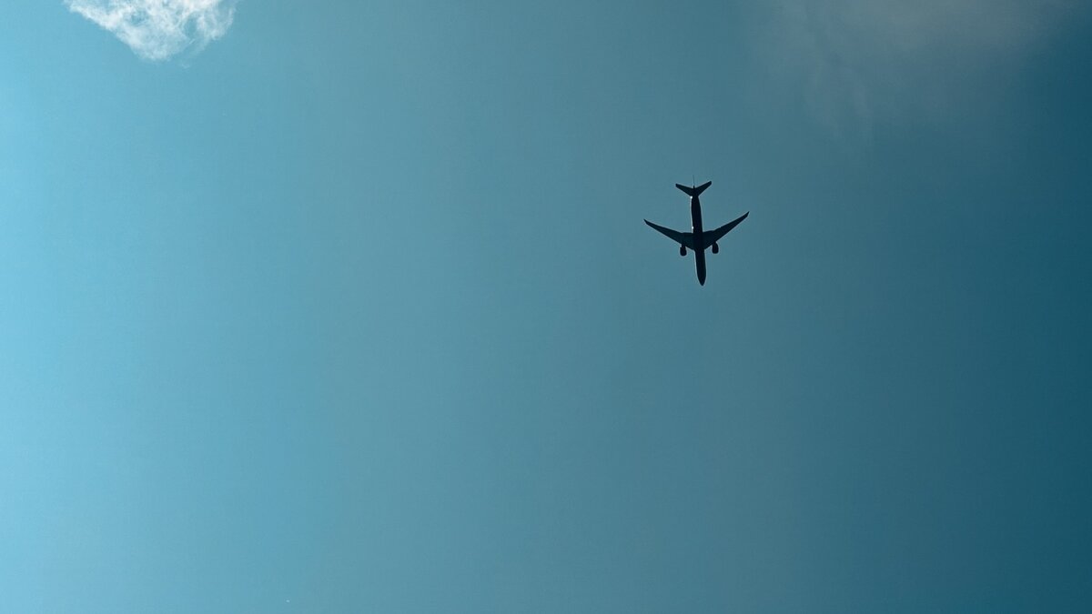     Во Владивостоке к административной ответственности привлекли двух мужчин — они находились на борту самолета в состоянии алкогольного опьянения и мешали другим пассажирам. В отношении задержанных составили протоколы, им грозит до 15 суток ареста.