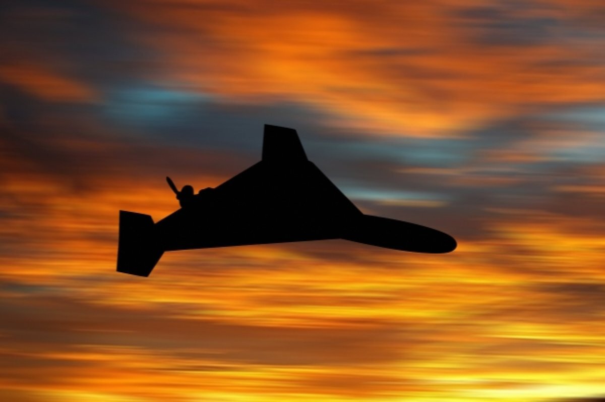    ПВО сбила шесть беспилотников над Брянской, Курской и Тульской областями