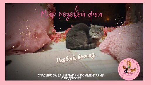 Первый выход нового жителя, знакомьтесь - Грейс