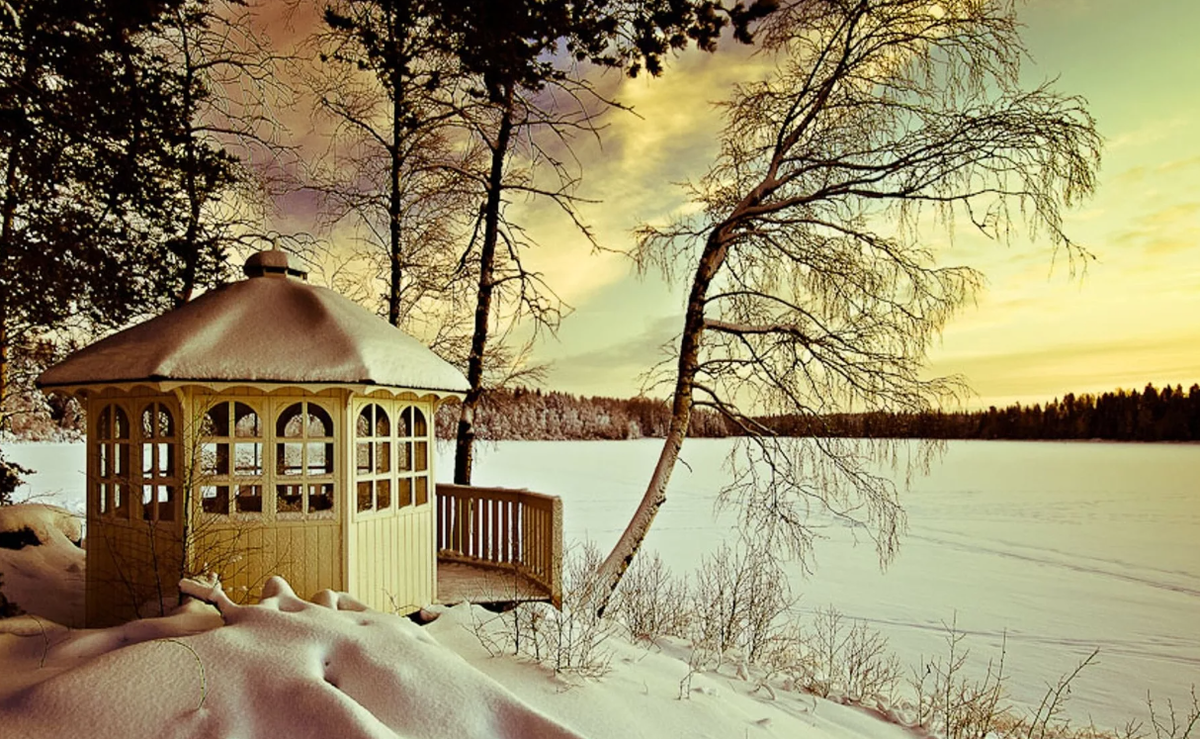 Яндекс картинки