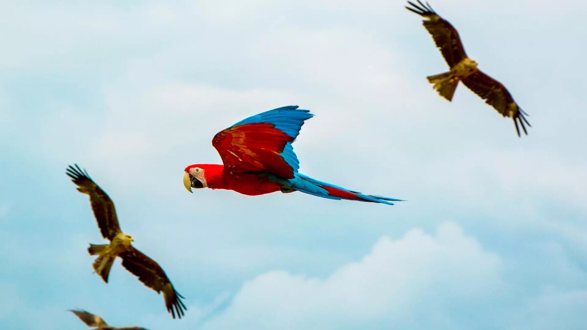     Жертвами опасного заболевания стали уже пятеро человек.