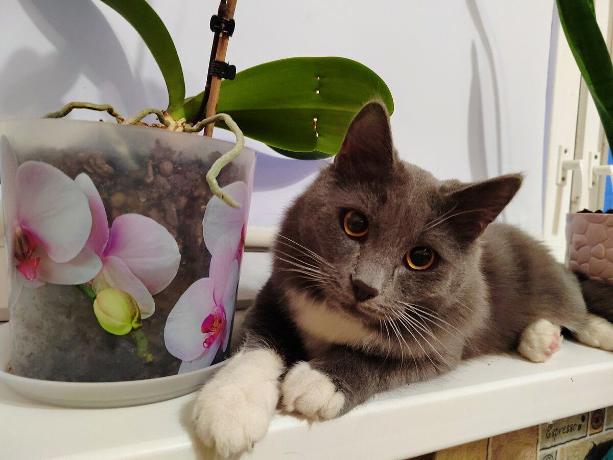 Фото автора канала.