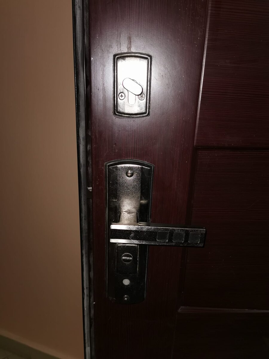 Фото двери до переделки