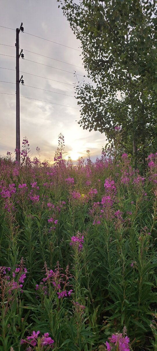 Такие виды вас могут ждать😍