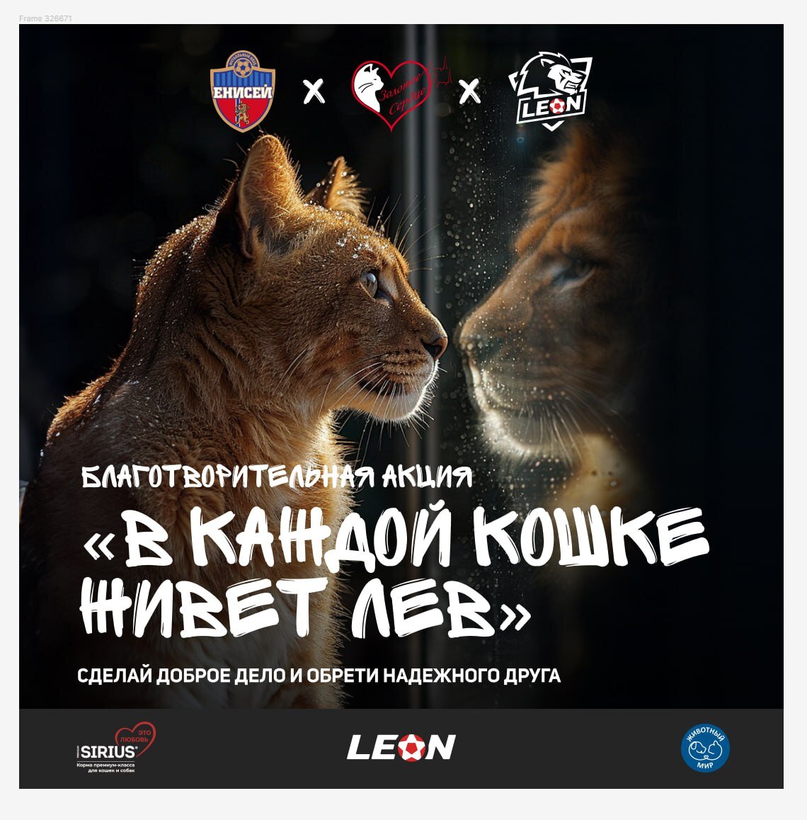 Акция стартовала.