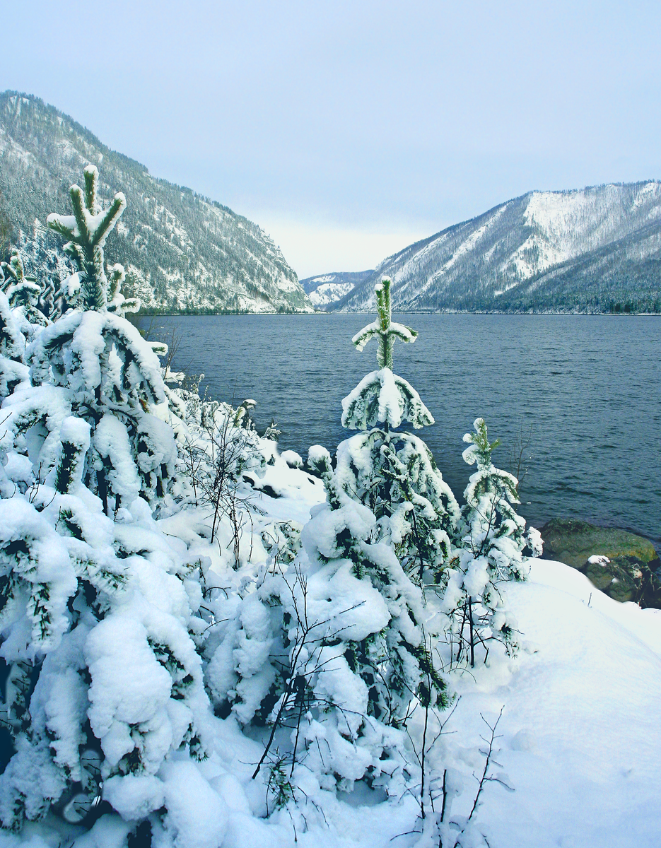 Фотография, стихотворение Василия Глуцкого