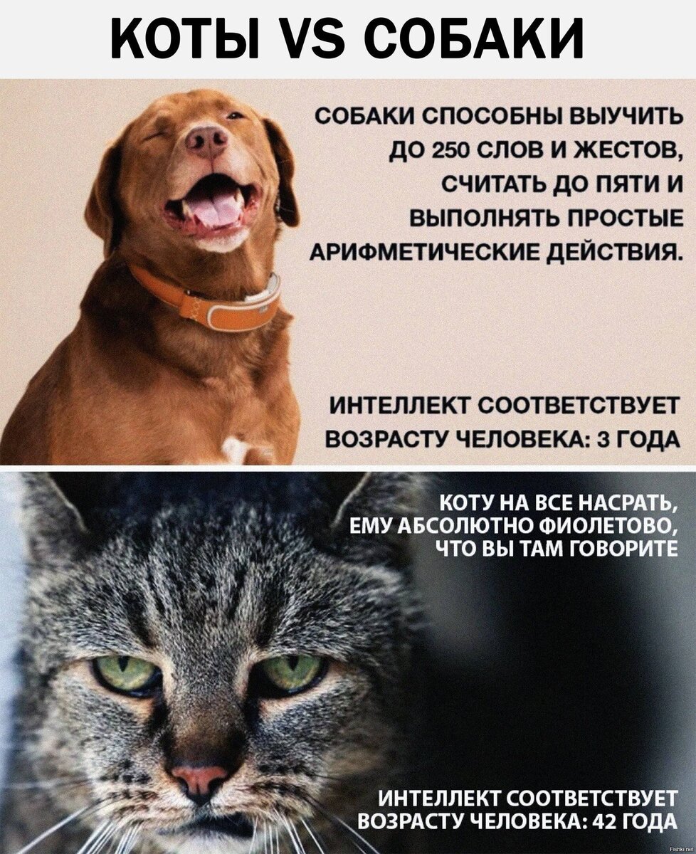 из свободного доступа