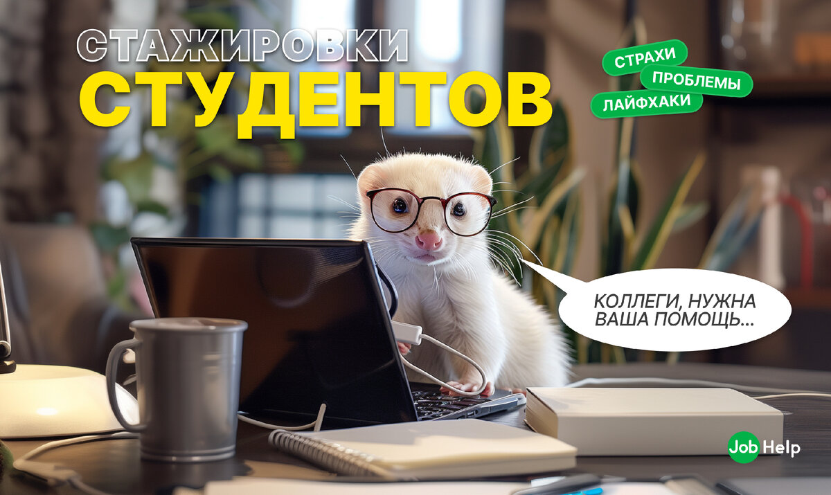 Стажировки студентов: страхи, проблемы и неочевидные лайфхаки | JobHelp —  кадровый сервис | Дзен