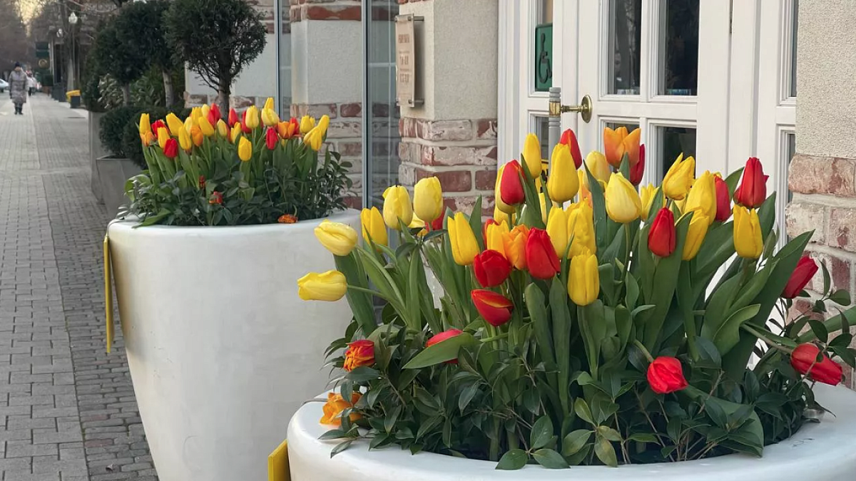    8 марта отмечается Международный женский день. Фото: телеканал «Краснодар»