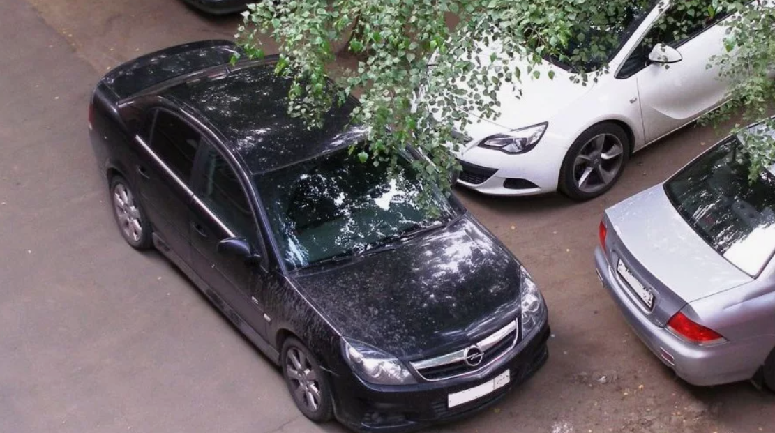 источник: 9111.ru