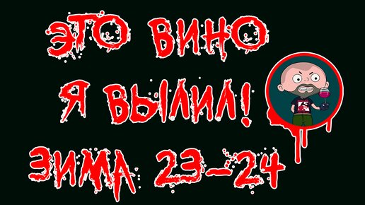 Это вино я вылил. Зима 2023 - 2024