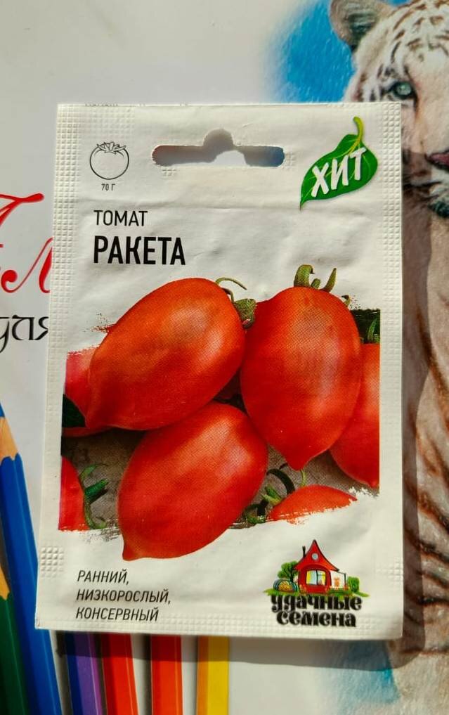 Высадка помидор на рассаду в 2024. Высаживание рассады томатов. Семена для рассады. Сажаем помидоры на рассаду. Способы высадки рассады.