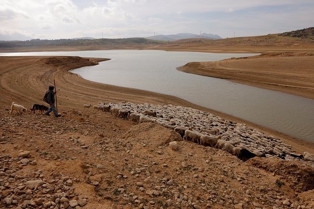    Фото: Jon Nazca / Reuters