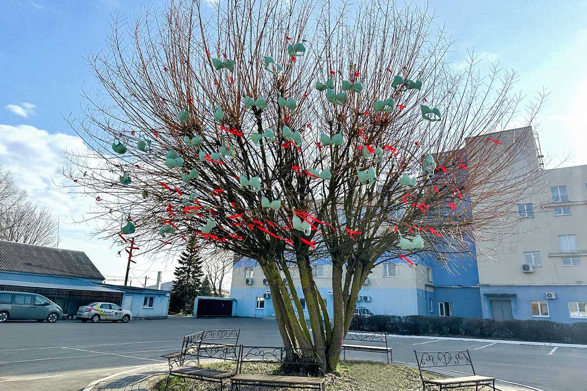    Фото: Mark Formelle