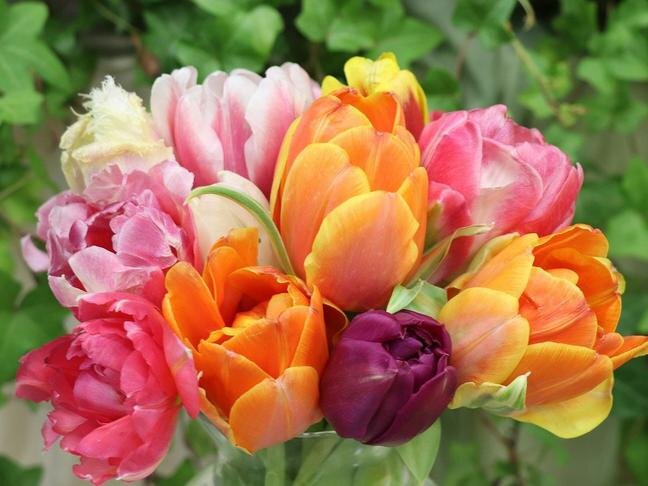 Фото: pixabay.com