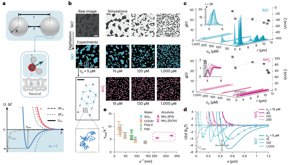   Sida Wang et al. / Nature Nanotechnology, 2024