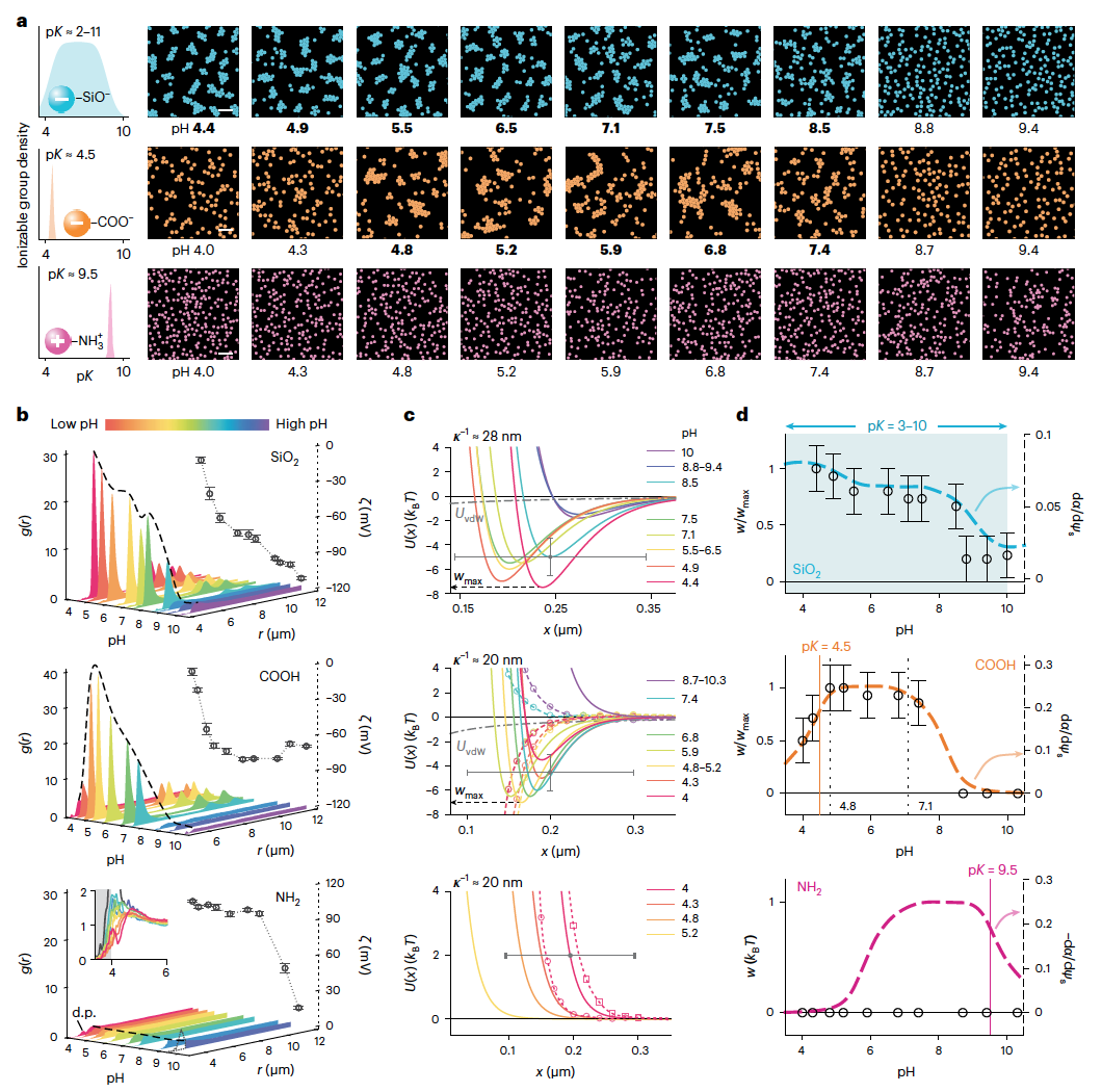   Sida Wang et al. / Nature Nanotechnology, 2024