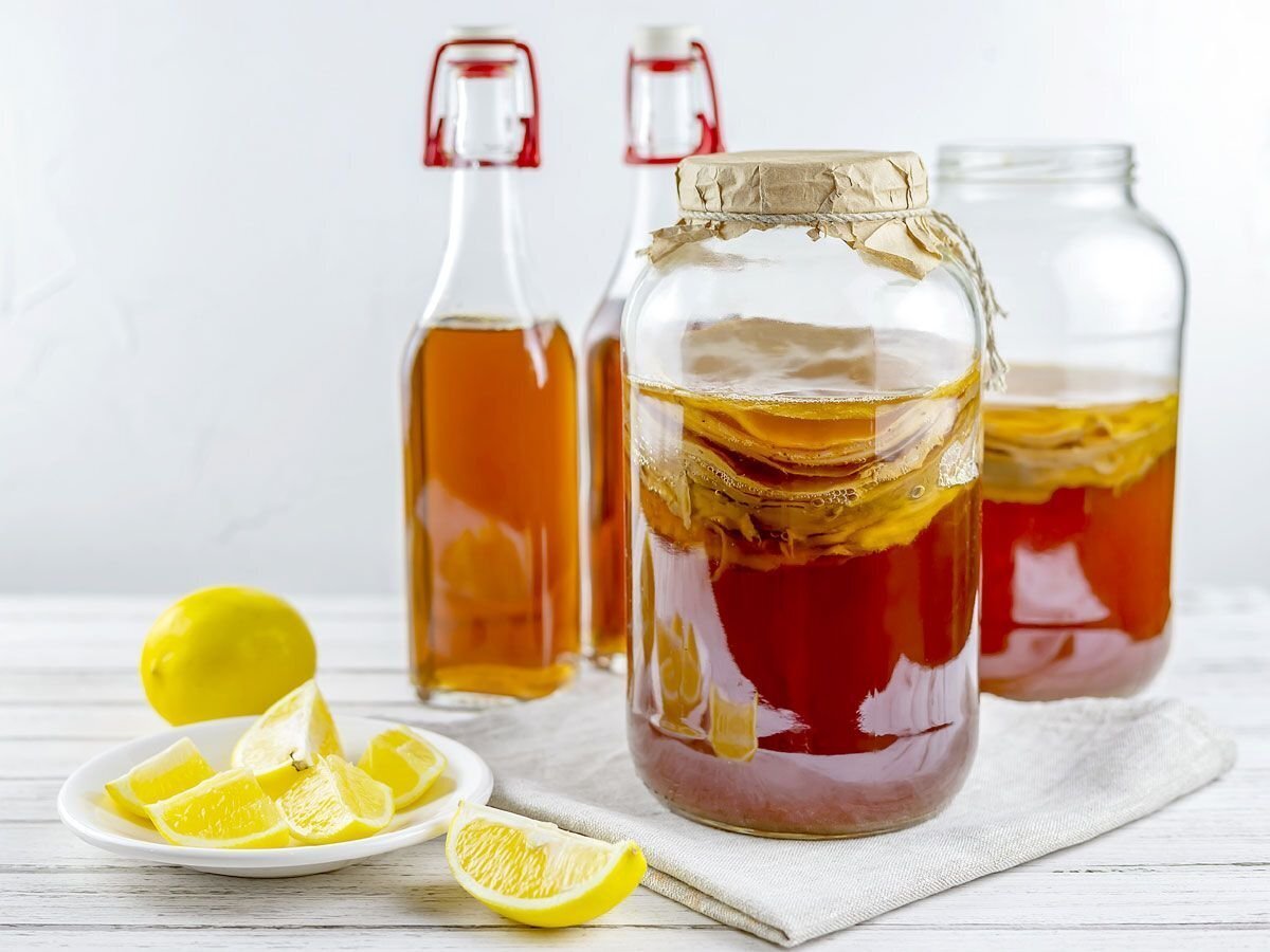 Чайный гриб