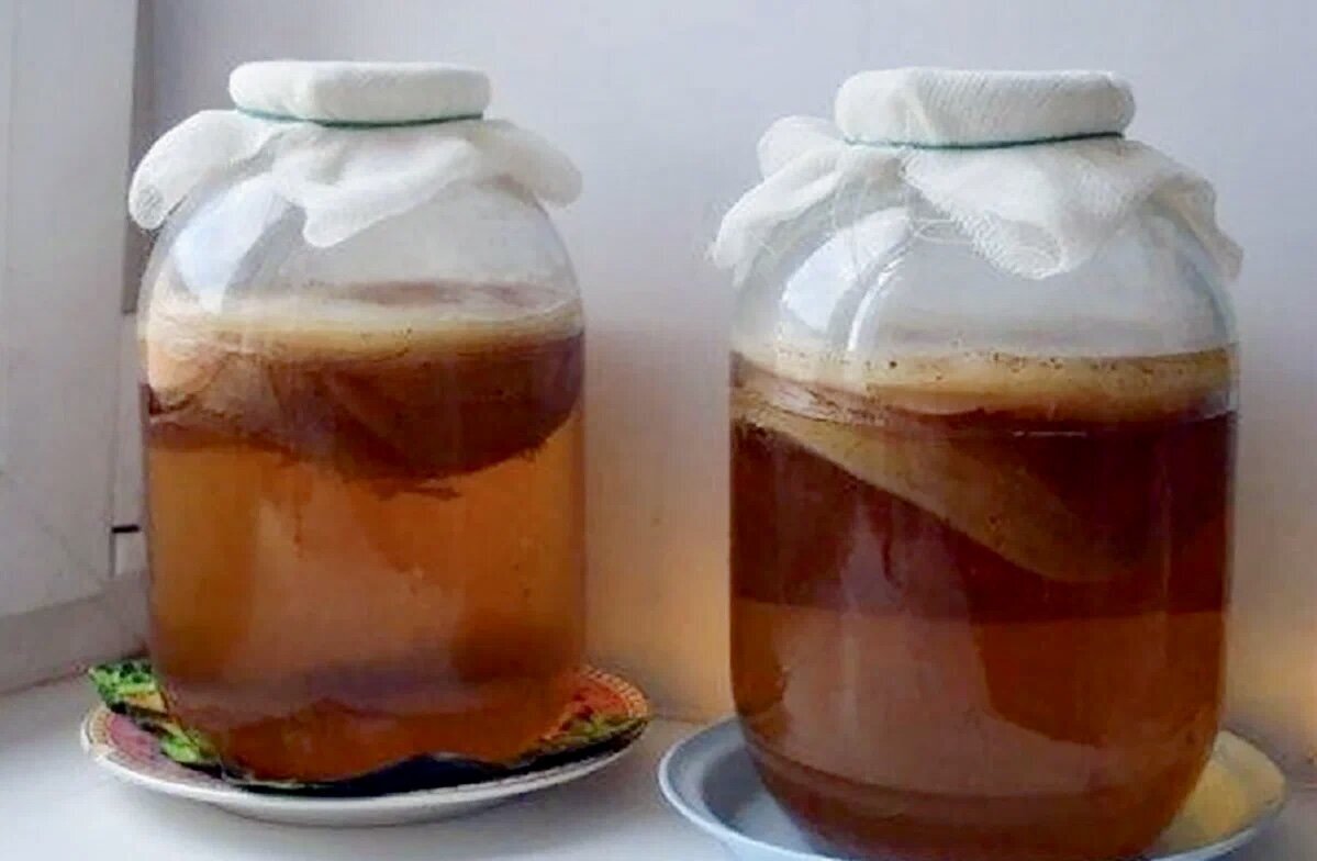 Напиток чайного гриба