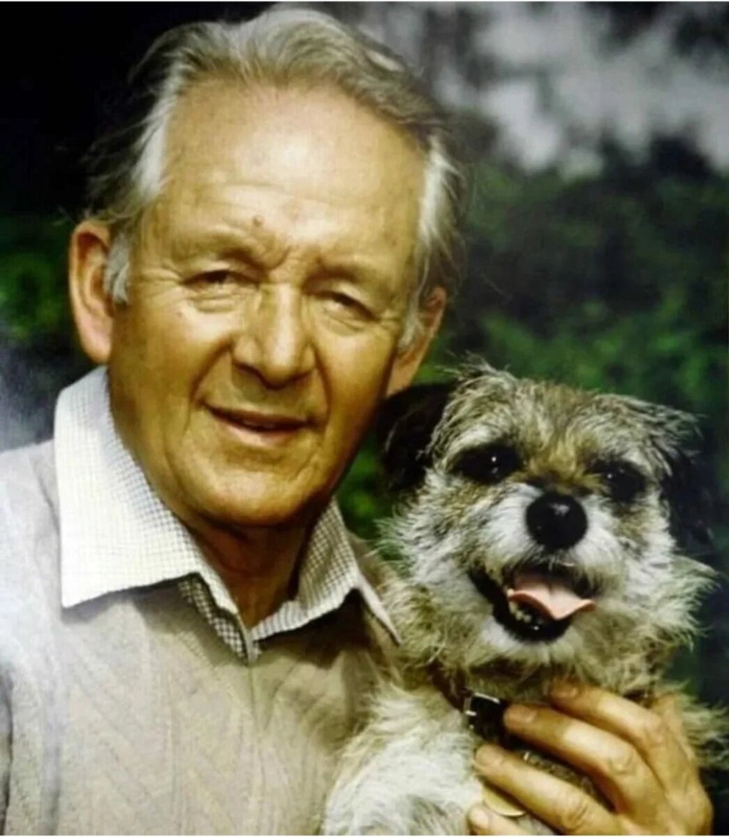 Из свободного доступа