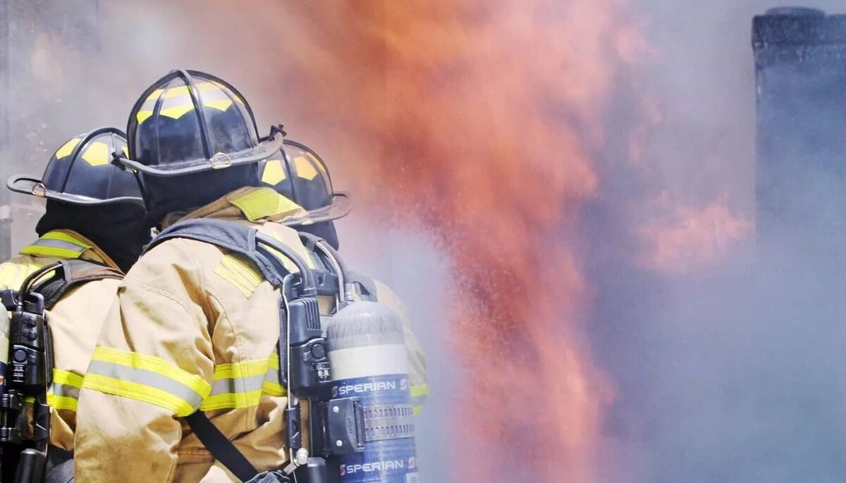 Фото: РИА "Новости" (https://cdnn21.img.ria.ru/images/155865/83/1558658356_0:100:1920:1180_640x0_80_0_0_759a99dfddce9d743388312596d2817a.jpg.webp)