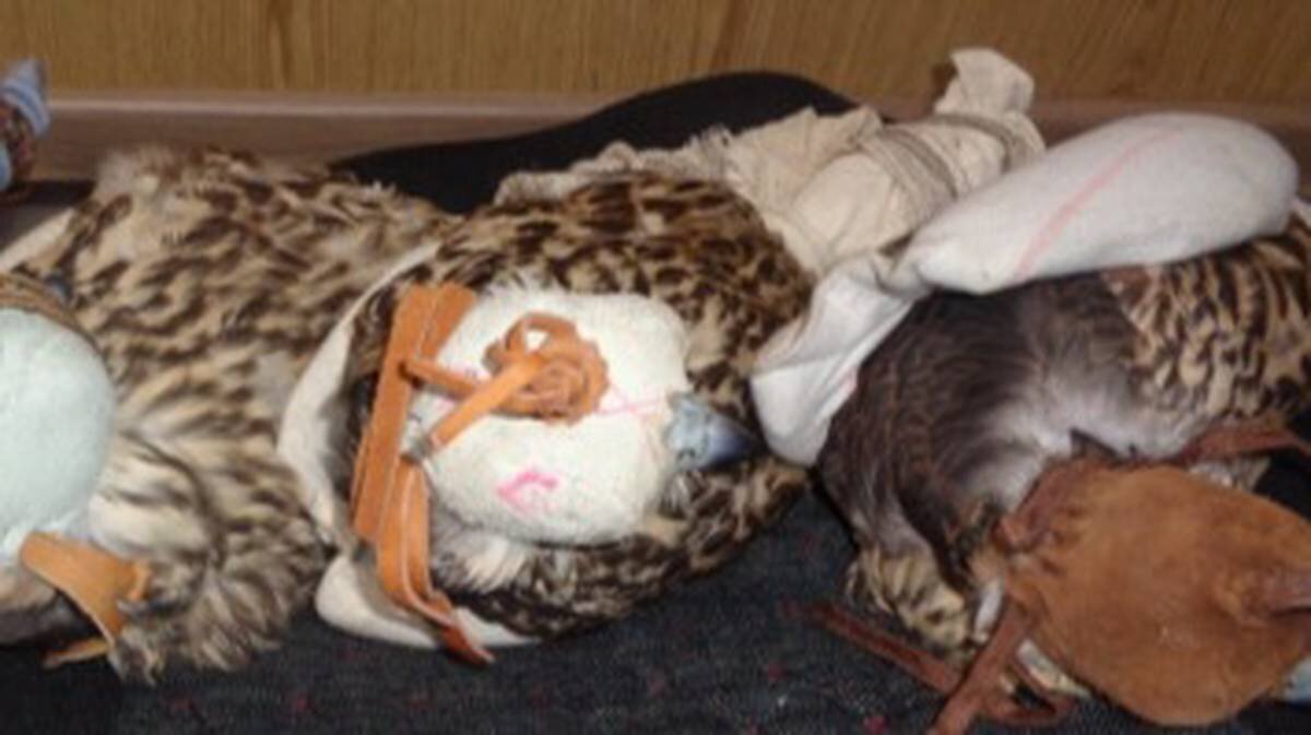    Фото: Пресс-служба СУ СК России по Алтайскому краю