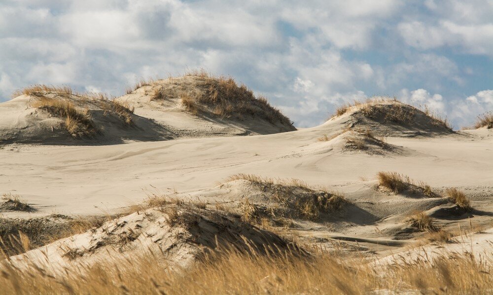 ©Aleksei Karasev/Shutterstock