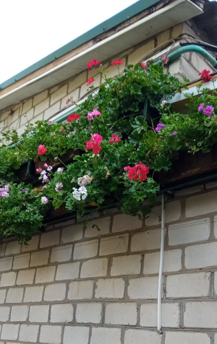 каждый хозяин старается летом украсить свой дом.