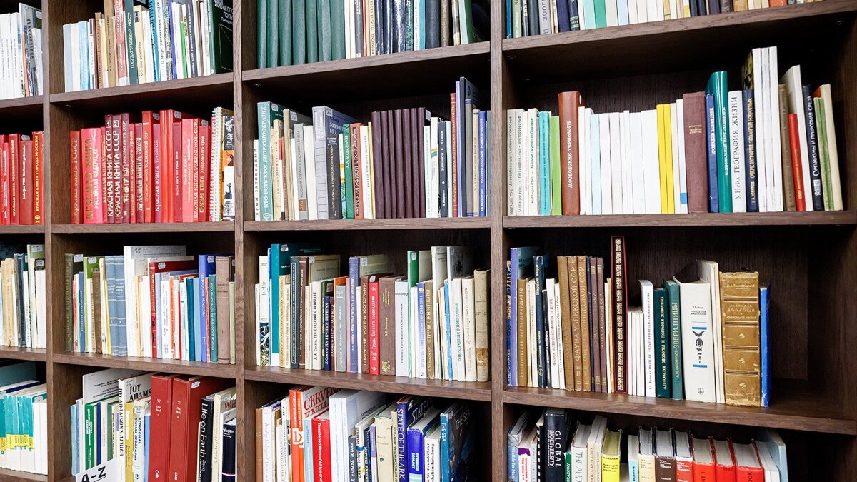 Фото: Дмитрий Дубинский / Абзац