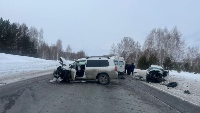 Фото: Госавтоинспекция Новосибирской области