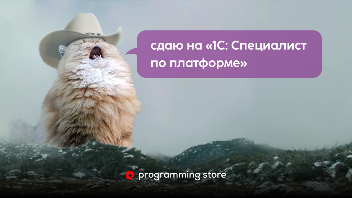 Как я готовилась к экзамену на Специалиста по платформе 1С | Programming  Store — разработка на 1С, MS Dynamics 365, Python и Java | Дзен