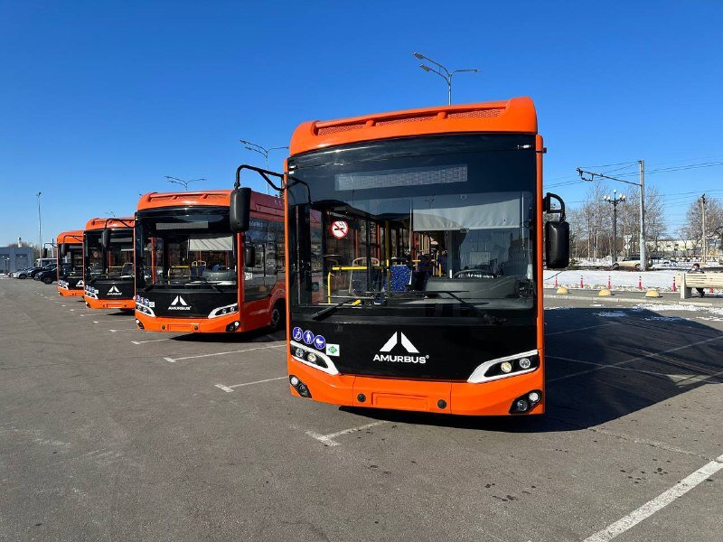 Новый российский автобусный бренд Amurbus