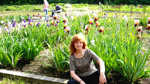 Ботанический сад 2. Жк свиблово ботанический сад. Жк life-ботанический сад 2, москва. Ботанический сад 2. Жк life-ботанический сад 2, москва.