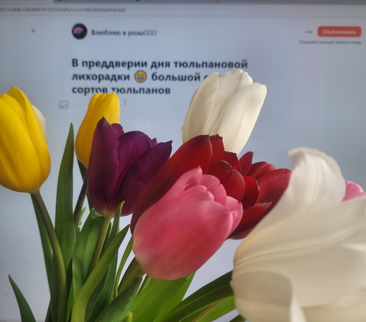 На работе уже тюльпаны подарили 😃
