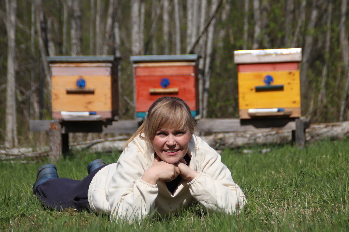 наша пасека в Псковской области