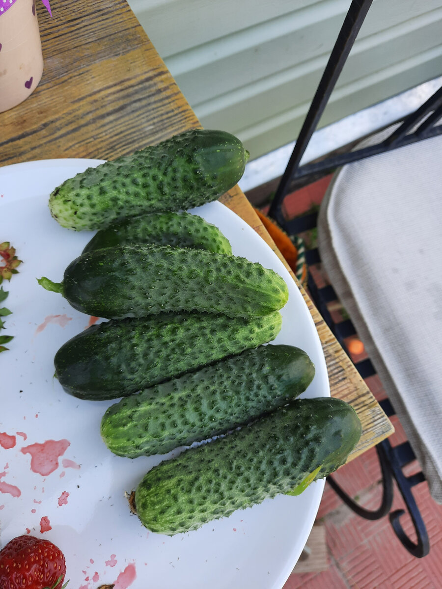 Вот они - первые огурчики!