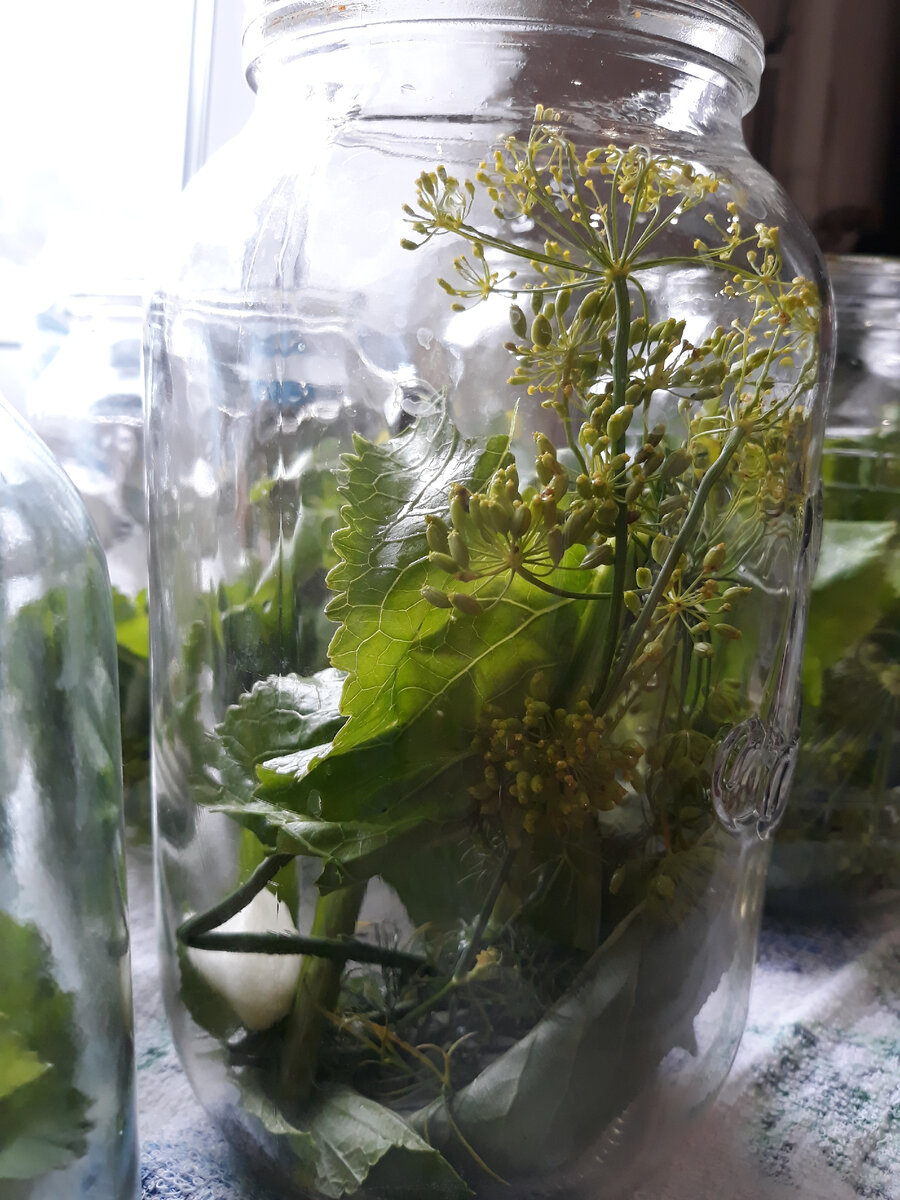 От закруток не откажусь!