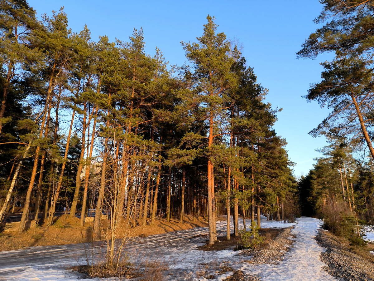 фото Maksim Konstantinov/Global Look Press 