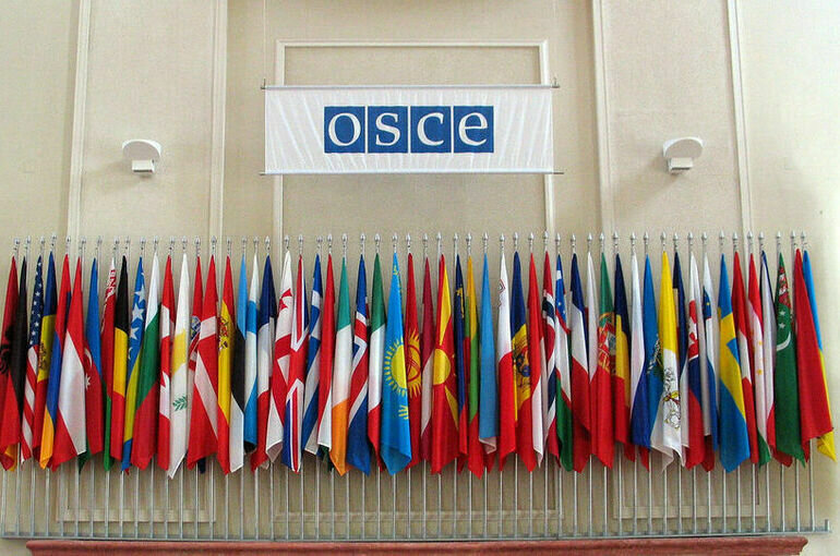   OSCE/Mikhail Evstafiev