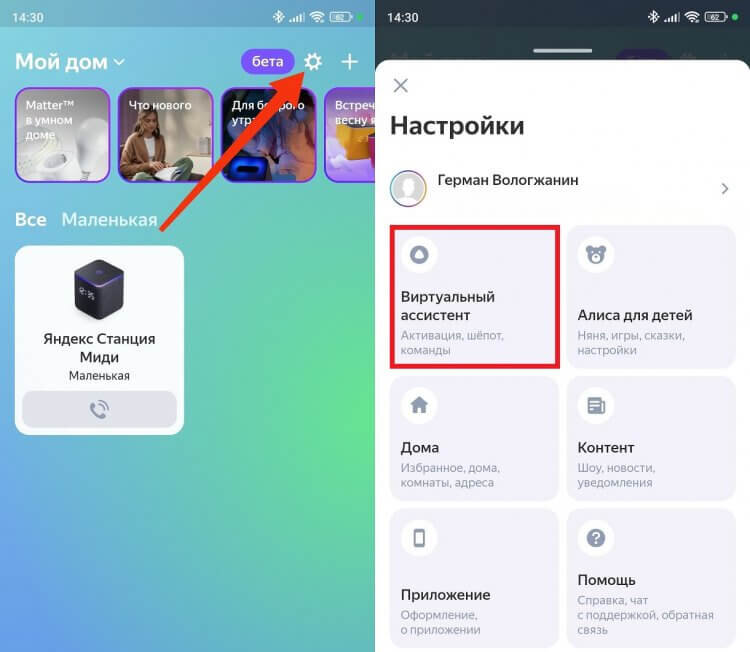     Основные настройки скрываются в разделе «Виртуальный ассистент»